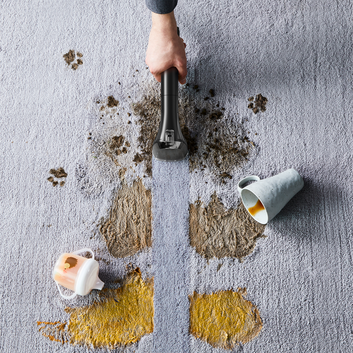 Shampouineuses rowenta_ clean it