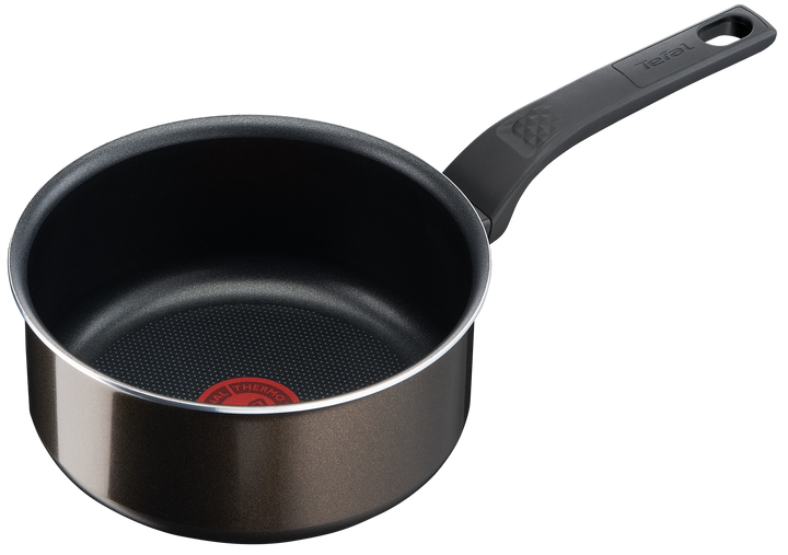 CASSEROLE 20CM EASY COOK&amp;CLEAN B5543002 Tefal