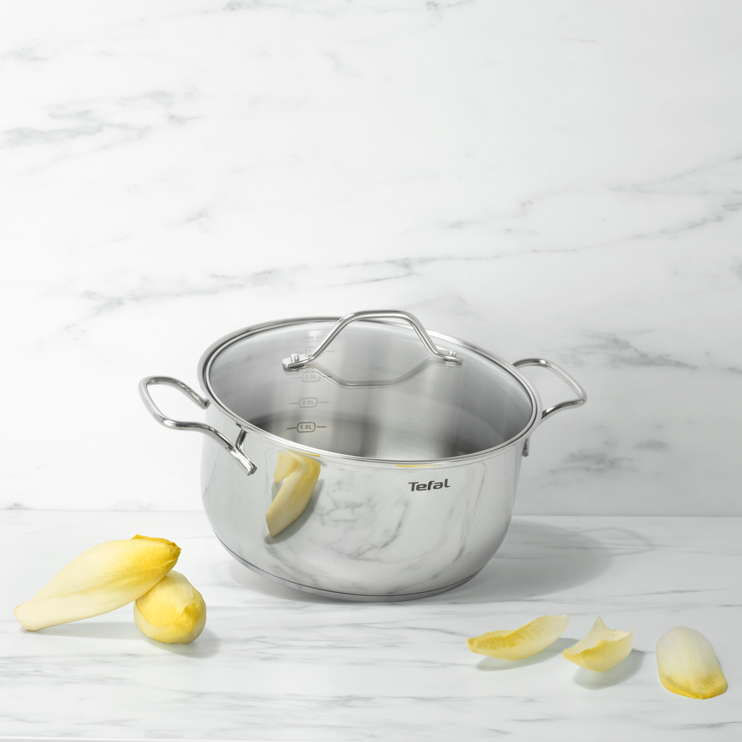 FAITOUT INOX NR 24CM+COUV EN VERRE INTUITION B8644674 Tefal