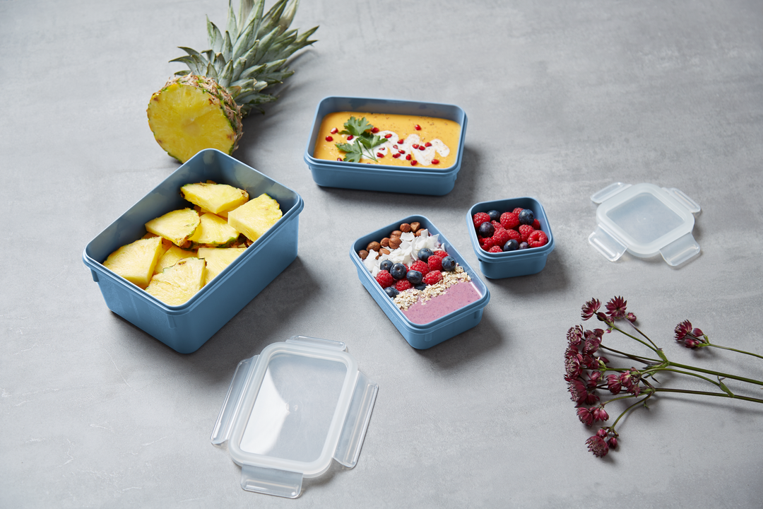SET DE 4 BOITES ALIMENTAIRES RECTANGULAIRES MASTERSEAL 0,2/0,55/0,80/2,2L BLEU N1030810 Tefal