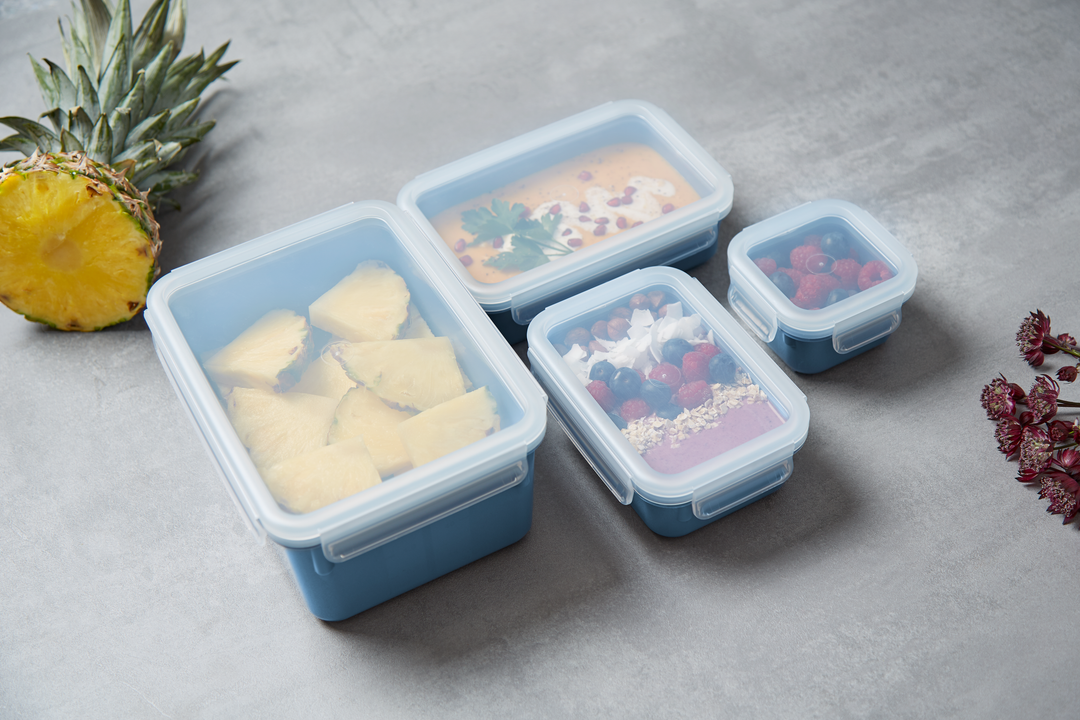 SET DE 4 BOITES ALIMENTAIRES RECTANGULAIRES MASTERSEAL 0,2/0,55/0,80/2,2L BLEU N1030810 Tefal