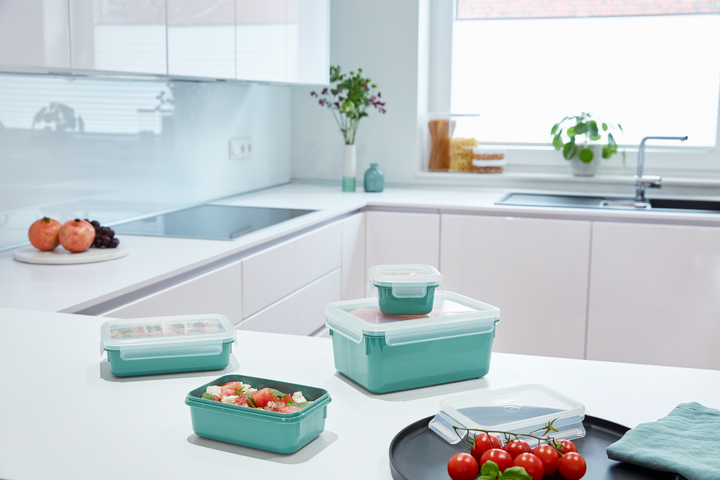 SET 4 BOITES ALIMENTAIRES RECTANGULAIRES MASTERSEAL 0,2/0,55/0,80/2,2L VERT N1031010 Tefal