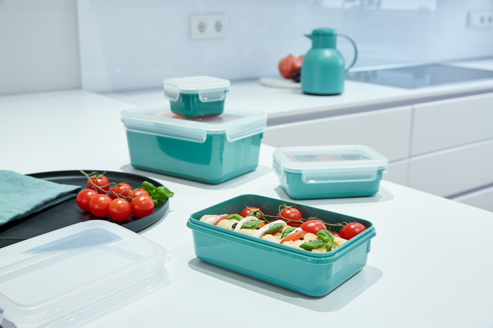 SET 4 BOITES ALIMENTAIRES RECTANGULAIRES MASTERSEAL 0,2/0,55/0,80/2,2L VERT N1031010 Tefal