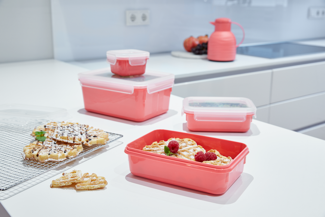 SET 4 BOITES ALIMENTAIRES RECTANGULAIRES  MASTERSEAL 0,2/0,55/0,80/2,2L TERRACOTTA N1030910 Tefal