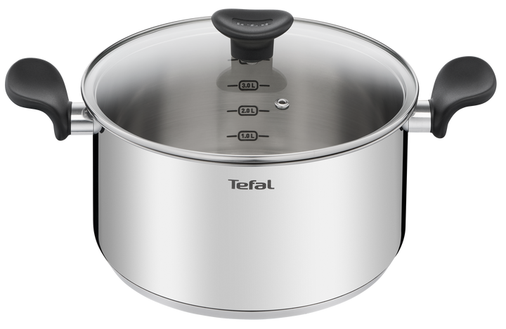 FAITOUT INOX+COUV EN VERRE 24CM PRIMARY E3084604 Tefal