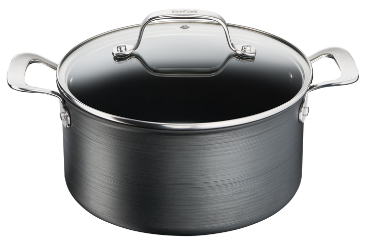 FAITOUT 24CM+COUV UNLIMITED PREMIUM G2564602 Tefal