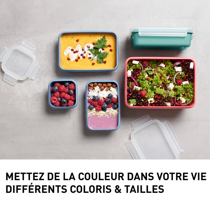 SET DE 4 BOITES ALIMENTAIRES RECTANGULAIRES MASTERSEAL 0,2/0,55/0,80/2,2L BLEU N1030810 Tefal
