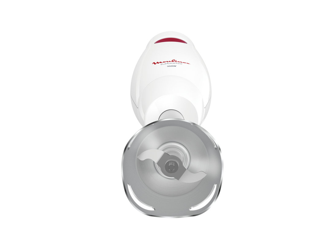 MIXEUR PLONGEANT TURBOMIX 350W 1V PIEDS INOX BLANC DD121110 Moulinex