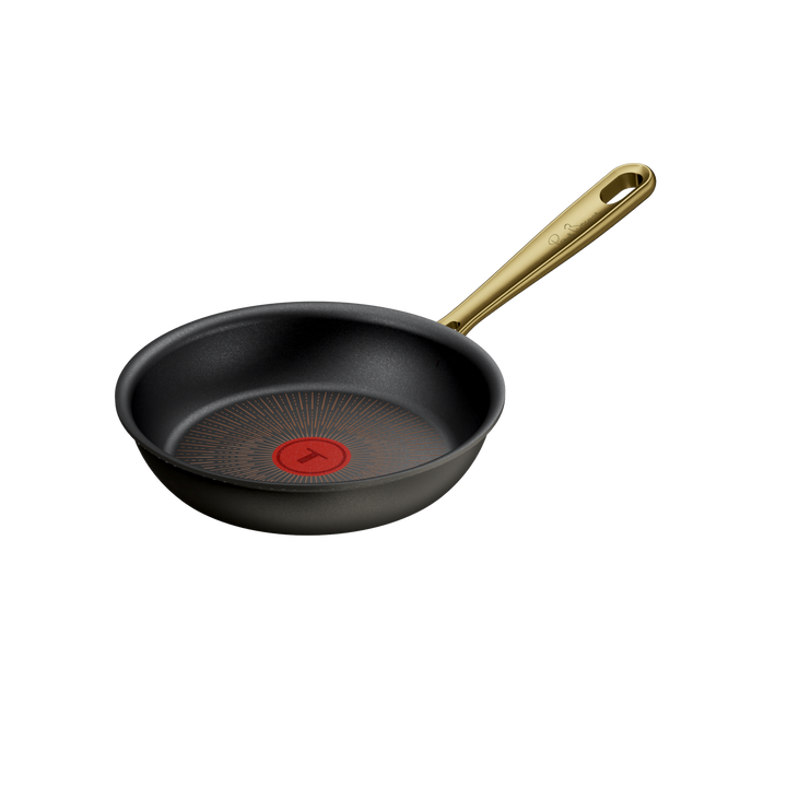 POELE 20CM BOCUSE GRIS COAL MAT G3370202 Tefal