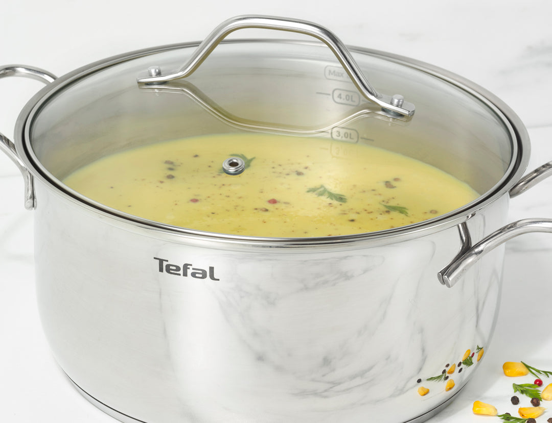 FAITOUT INOX NR 20CM+COUV EN VERRE INTUITION B8644474 Tefal