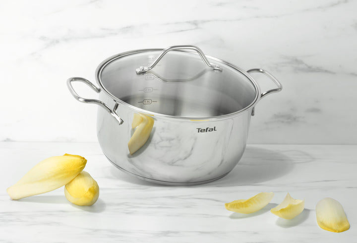 FAITOUT INOX NR 20CM+COUV EN VERRE INTUITION B8644474 Tefal