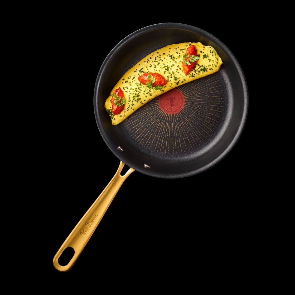 POELE 24CM BOCUSE GRIS COAL MAT G3370402 Tefal