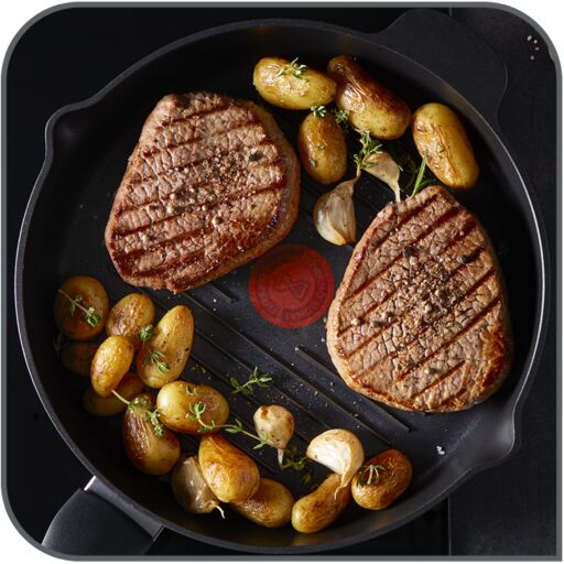 POELE GRILL 26CM ROBUSTO NOIR E2494044 Tefal