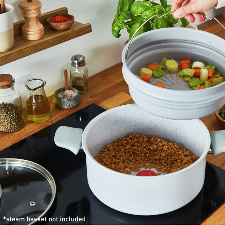 FAITOUT 24CM NATURAL CHEF GRIS CLAIR C4514602 Tefal