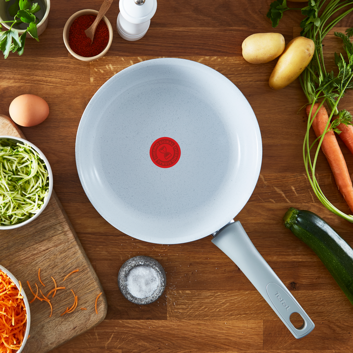 CASSEROLE 20CM NATURAL CHEF GRIS CLAIR C4513002 Tefal