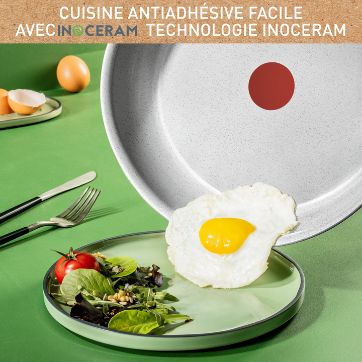 POELE 20CM NATURAL CHEF GRIS CLAIR C4510202 Tefal